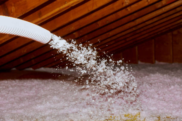 Best Commercial Insulation in Edneyville, NC
