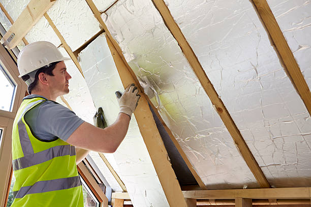 Best Insulation Installation Services in Edneyville, NC